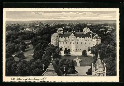 AK Celle, Blick auf das Herzogschloss, Heeres-Gasschutzschule