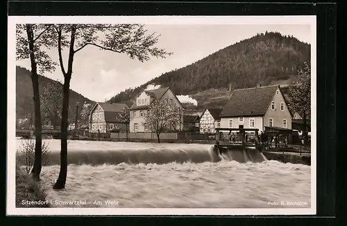 AK Sitzendorf im Schwarzwald, Häuser am Wehr