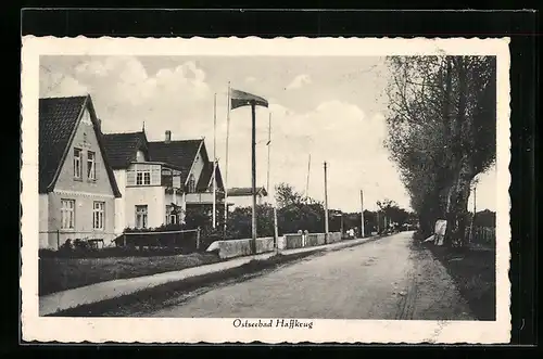 AK Ostseebad Haffkrug, Wohnhäuser an der Strasse