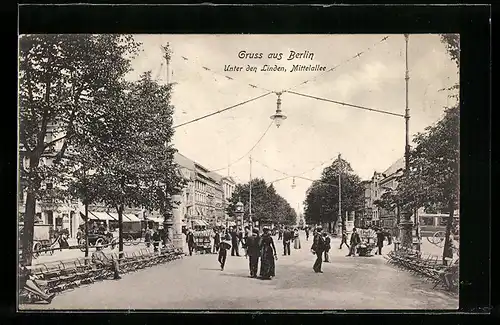 AK Berlin, Unter den Linden, Mittelallee