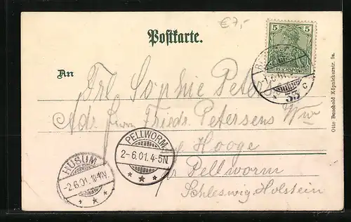 Lithographie Berlin, Blick auf den Dom