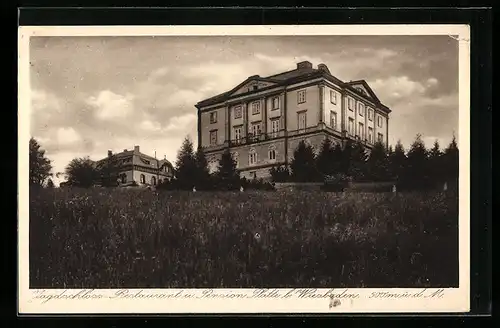 AK Wiesbaden, Jagdschloss-Restaurant Platte