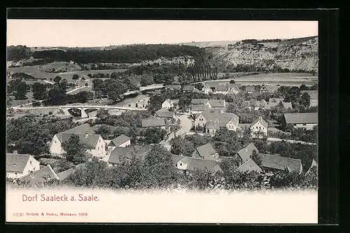 AK Dorf Saaleck a. Saale, Generalansicht der Ortschaft