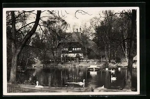 AK Karlsruhe, Schwarzwaldhaus und Schwanensee