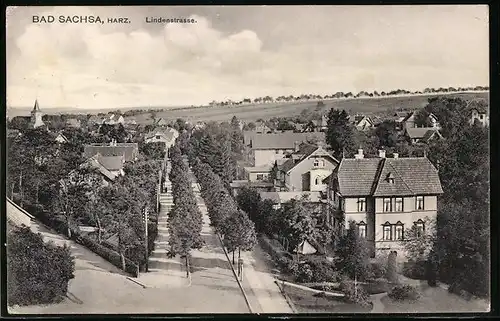 AK Bad Sachsa / Harz, Lindenstrasse mit Umgebung