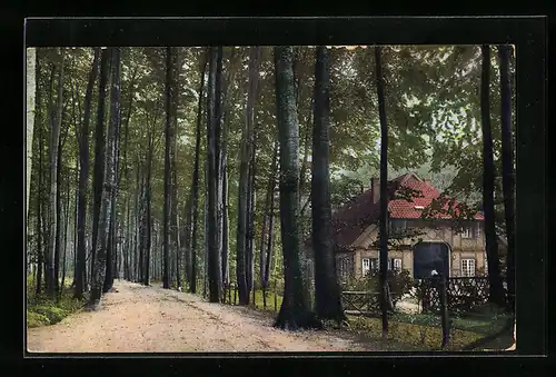 AK Kiel, Im Kitzeberger Gehölz