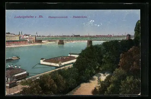 AK Ludwigshafen a. Rh., Rheinpromenade mit Rheinbrücke