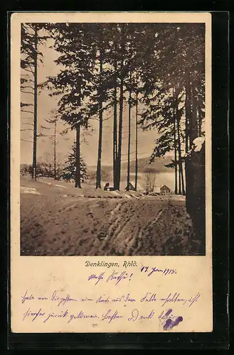 AK Denklingen / Rhld., Totale im Winter