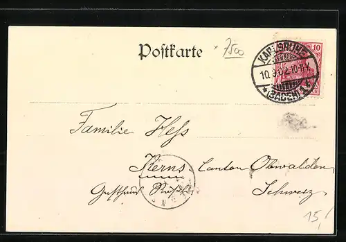 Passepartout-AK Karlsruhe, Ortsansicht vom Schloss aus, Vögel