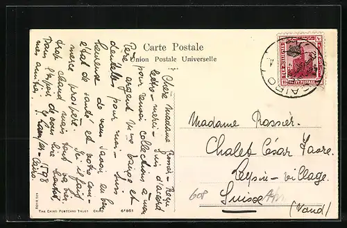 AK Alexandrie, Le Port