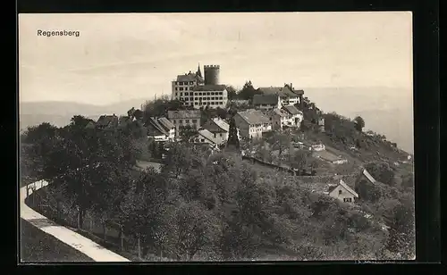 AK Regensberg, Ortsansicht mit Schloss