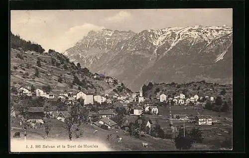 AK Salvan, Panorama et la Dent de Morcles