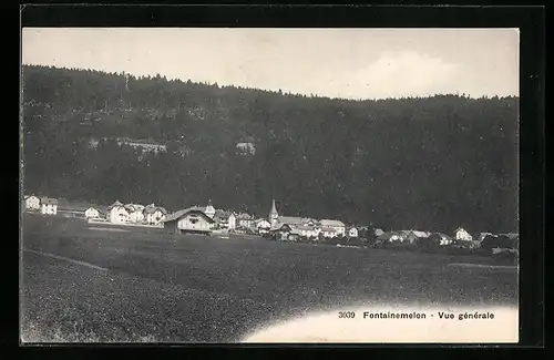 AK Fontainemelon, Vue générale