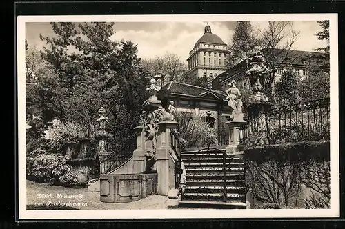 AK Zürich, Universität und Rechbergbrunnen