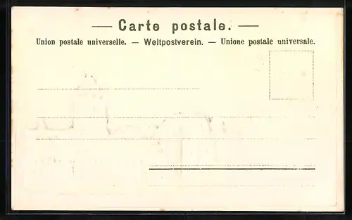 Präge-AK Zürich, Das Landesmuseum