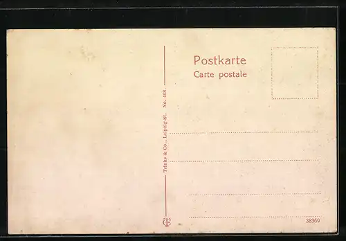 AK Leipzig, Blick von der heiligen Brücke