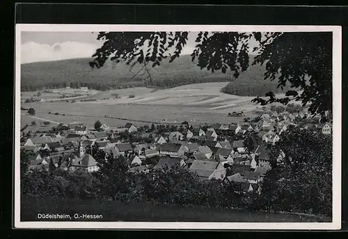 AK Düdelsheim /Hessen, Totalansicht aus der Vogelschau