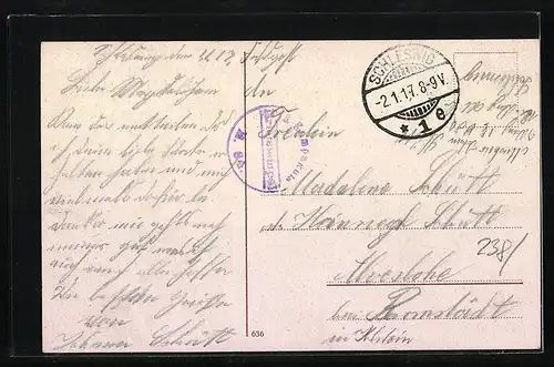 AK Schleswig, Strassenpartie am Landratsamt, Flensburgerstrasse