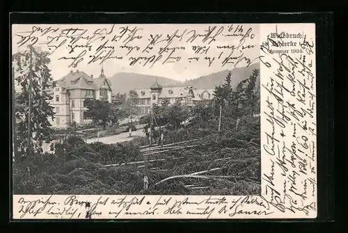 AK Schierke i. Harz, Ortsansicht mit Waldbruch & Gebäuden