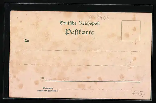 Lithographie Strehla, Panorama und Rathaus