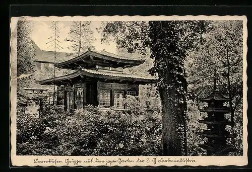 AK Leverkusen, Gruppe aus dem japan. Garten der I. G. Farbenindustrie