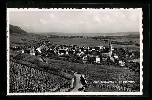AK Cressier, Vue générale