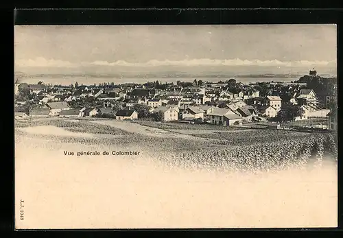 AK Colombier, Vue générale