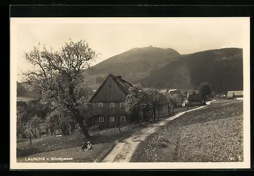 AK Waltersdorf, Gasthaus Lausche v. Windgasse