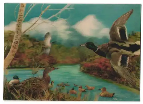 AK 3D-Karte, Enten am Teich