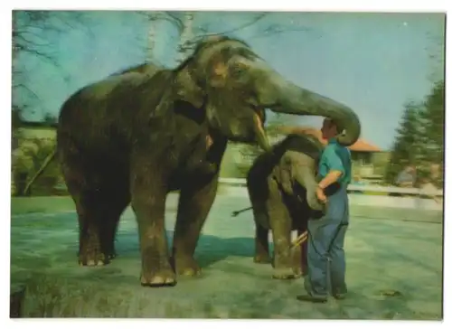 3D-AK Elefantenmutter mit Jungem und Wärter