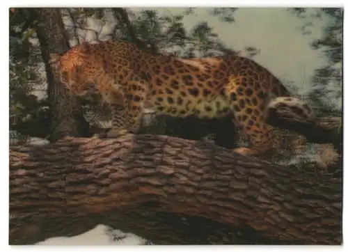3D-AK Leopard auf einem Baum