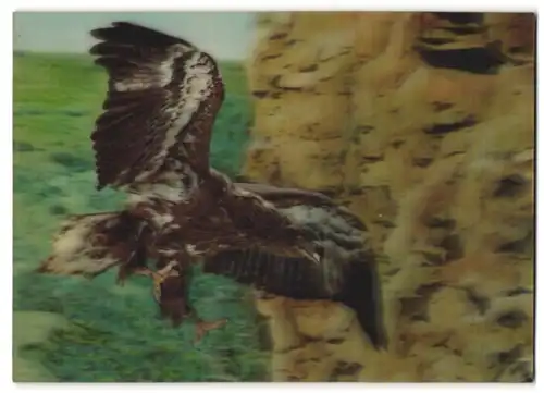 3D-AK Eagle, Adler mit gespreizten Fängen im Anflug