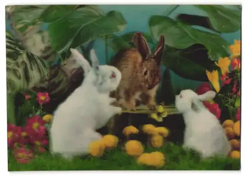3D-AK 2 Albinokaninchen und ein braunes auf Blumenwiese