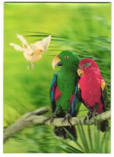 3D-AK Papageien-Paar mit Kanarienvogel