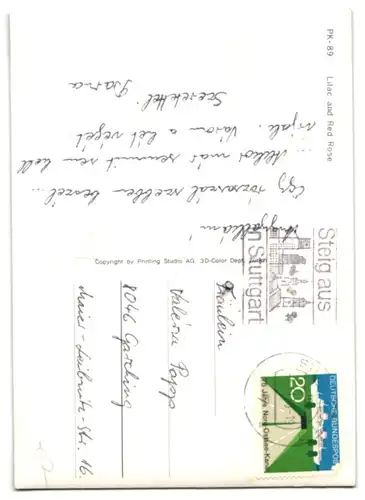 3D-AK Lilac and Red Rose