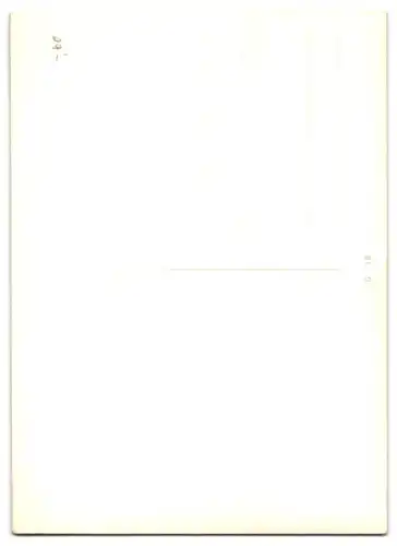 3D-AK Tiger reisst sein Maul bedrohlich auf