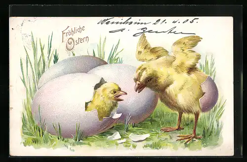 Lithographie Fröhliche Ostern!, Schlüpfende Osterküken