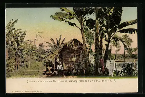 AK Bujco-R. P., Banana cultivat on the Isthmus showing farm & native hut