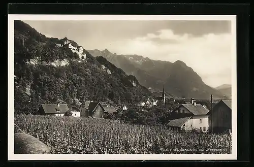 AK Vaduz, Gesamtansicht mit Rappenstein