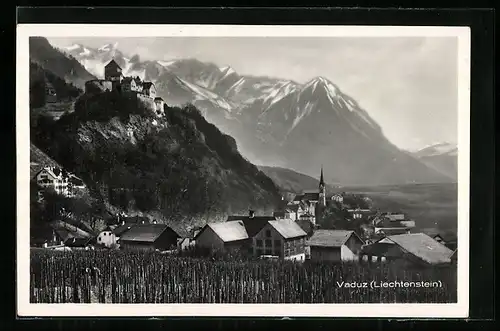 AK Vaduz, Teilansicht mit Bergpanorama
