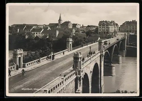 AK Maribor, Magdalena, Brücke