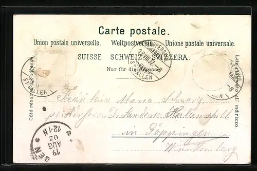 AK Rapperswyl, Ort mit Gewässer