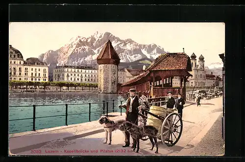 AK Luzern, Kapellbrücke mit Hundegespann und Blick zum Pilatus