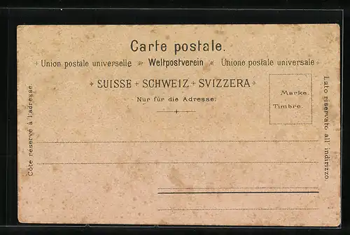 Lithographie Flüelen, Totalansicht