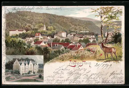 Lithographie Liebenstein, Schloss Altenstein, Panoramablick auf den Ort