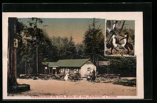 AK Königstein i. Taunus, Waldwirtschaft von Ferd. Müller auf dem Fuchstanz