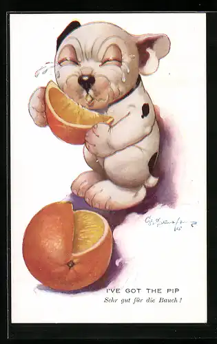 Künstler-AK George Ernest Studdy: Bonzo beisst in eine Orange