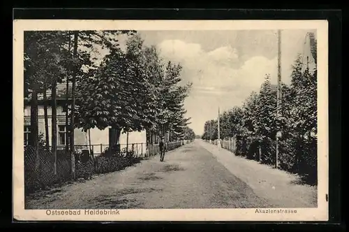 AK Heidebrink, Akazienstrasse im Ort