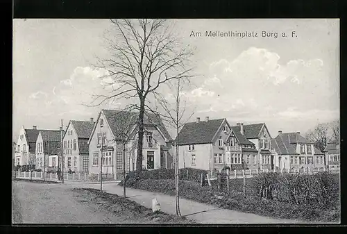 AK Burg a. F., Am Mellenthinplatz mit Mann