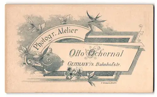 Fotografie Otto Ochernal, Geithain i.S., Bahnhofstrasse, rückseitige Ansicht, Vorderseitig: Frau im Puffärmelkleid